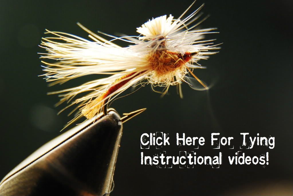 Colorado Fly Fishing Magazine Kleis's Top Ten Flies For Colorado